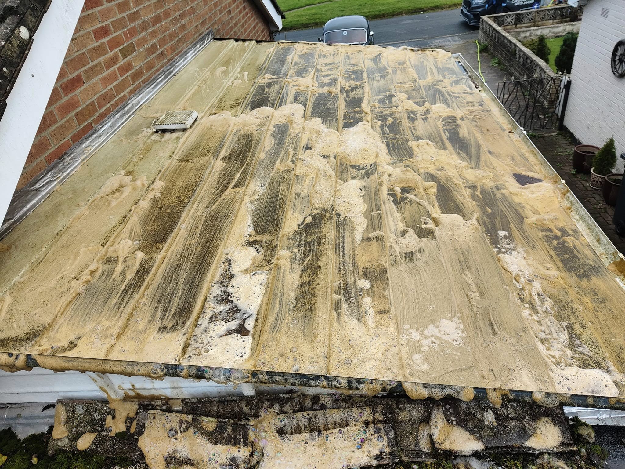 Conservatory roof streaked with green algae